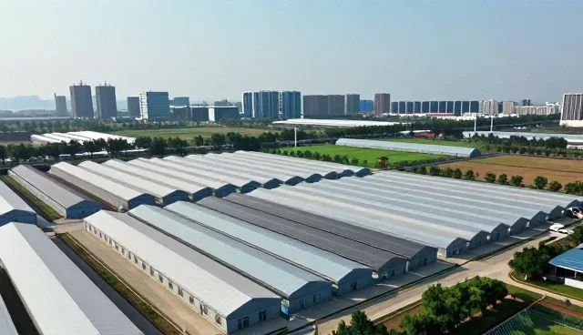 视觉效果中软件优化对性能的直接影响分析