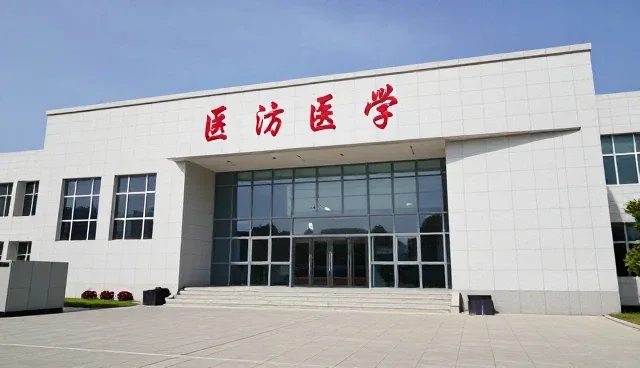 视频剪辑中维护方法的两种做法与取舍分析